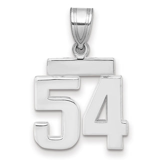 14k White Gold Small Polished Number 54 Pendant
