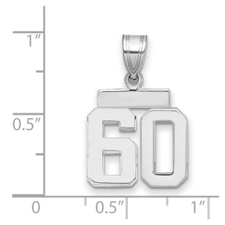 14k White Gold Small Polished Number 60 Charm