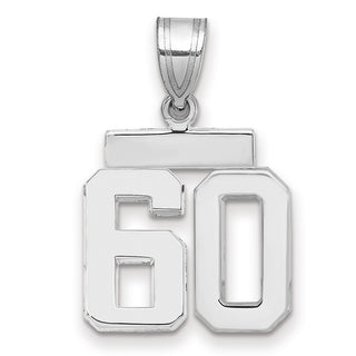 14k White Gold Small Polished Number 60 Charm
