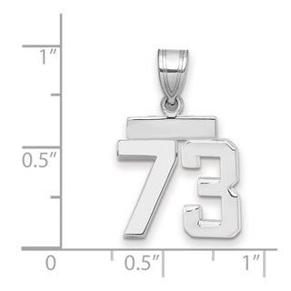 14k White Gold Small Polished Number 73 Pendant