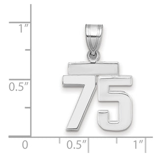 14k White Gold Small Polished Number 75 Charm