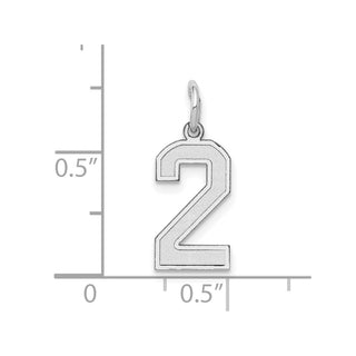 14K White Gold Small Satin Number 2 Charm