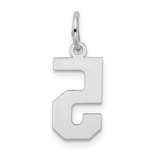 14K White Gold Small Satin Number 5 Charm