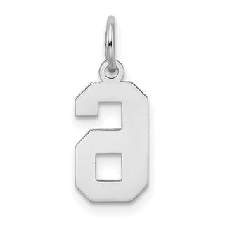 14K White Gold Small Satin Number 6 Charm