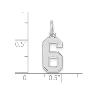 14K White Gold Small Satin Number 6 Charm