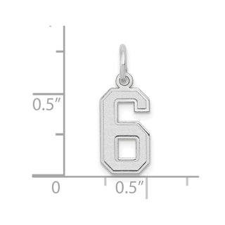 14K White Gold Small Satin Number 6 Charm