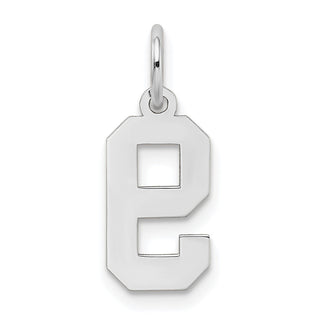14K White Gold Small Satin Number 9 Charm