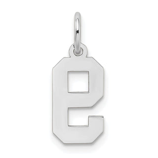 14K White Gold Small Satin Number 9 Charm
