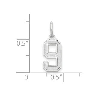 14K White Gold Small Satin Number 9 Charm