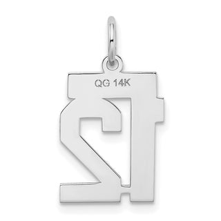 14k White Gold Small Satin Number 12 Charm