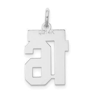 14k White Gold Small Satin Number 16 Charm