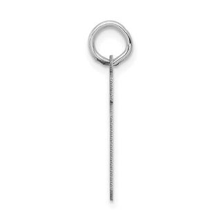14k White Gold Small Satin Number 19 Charm