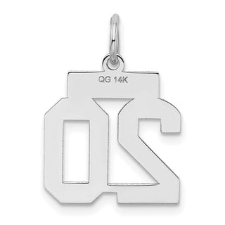14k White Gold Small Satin Number 20 Charm