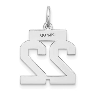 14k White Gold Small Satin Number 22 Charm