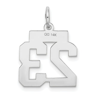 14k White Gold Small Satin Number 23 Charm