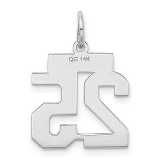 14k White Gold Small Satin Number 25 Charm