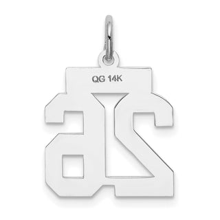 14k White Gold Small Satin Number 26 Charm