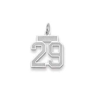 14k White Gold Small Satin Number 29 Charm