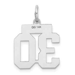 14k White Gold Small Satin Number 30 Charm