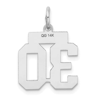 14k White Gold Small Satin Number 30 Charm