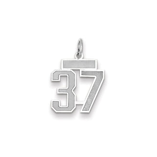 14k White Gold Small Satin Number 37 Charm