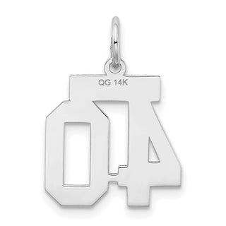 14k White Gold Small Satin Number 40 Charm