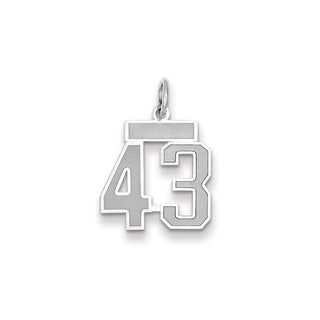 14k White Gold Small Satin Number 43 Charm