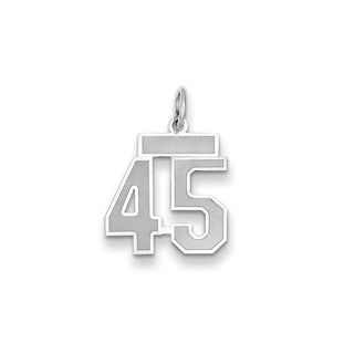 14k White Gold Small Satin Number 45 Charm