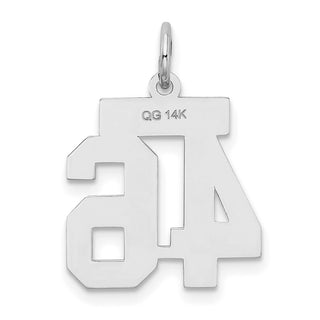 14k White Gold Small Satin Number 46 Charm