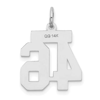 14k White Gold Small Satin Number 46 Charm