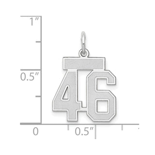 14k White Gold Small Satin Number 46 Charm