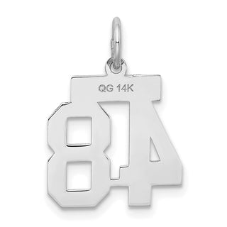 14k White Gold Small Satin Number 48 Charm