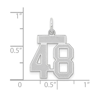 14k White Gold Small Satin Number 48 Charm