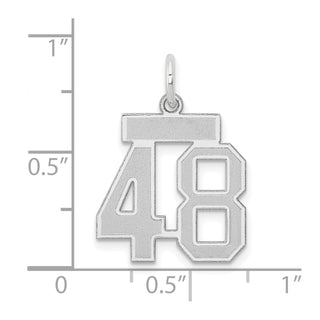 14k White Gold Small Satin Number 48 Charm