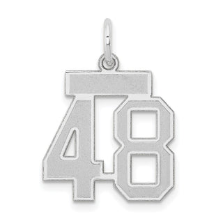14k White Gold Small Satin Number 48 Charm