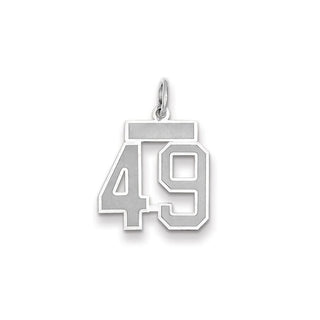 14k White Gold Small Satin Number 49 Charm
