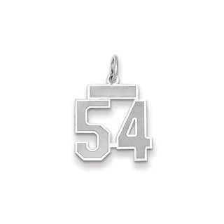 14k White Gold Small Satin Number 54 Charm