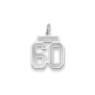 14k White Gold Small Satin Number 60 Charm