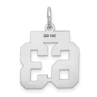14k White Gold Small Satin Number 63 Charm