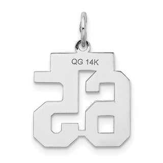 14k White Gold Small Satin Number 65 Charm