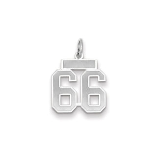 14k White Gold Small Satin Number 66 Charm