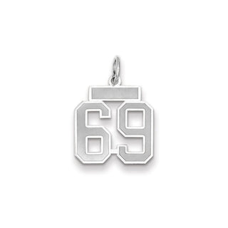 14k White Gold Small Satin Number 69 Charm