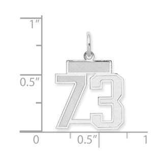 14k White Gold Small Satin Number 73 Charm