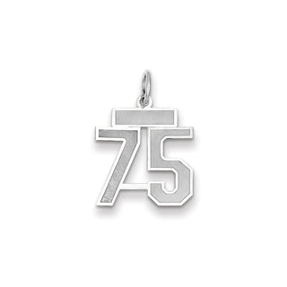 14k White Gold Small Satin Number 75 Charm