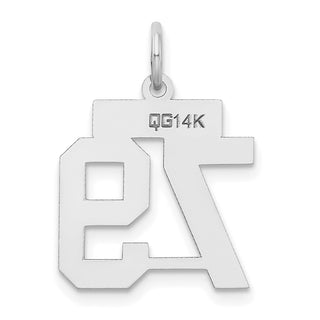 14k White Gold Small Satin Number 79 Charm