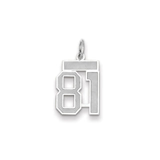 14k White Gold Small Satin Number 81 Charm