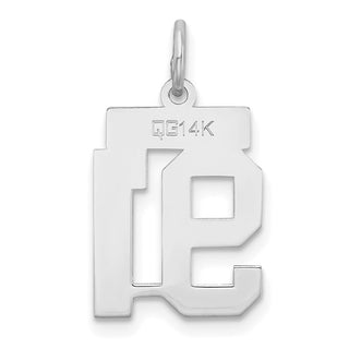 14k White Gold Small Satin Number 91 Charm