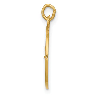14K Yellow Gold Our Lady of Perpetual Help Medal Charm XAC210