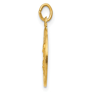 14K Yellow Gold Sacred Heart of Jesus Medal Charm XAC220