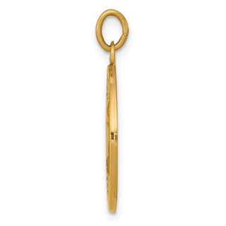 14K Yellow Gold Saint Theresa Medal Charm XAC224
